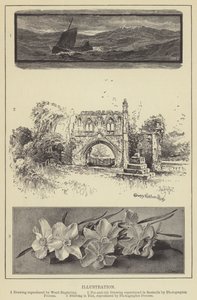 Illustration by English School
