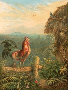Illustration for Gray