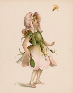 Illustration for The Language of Flowers
