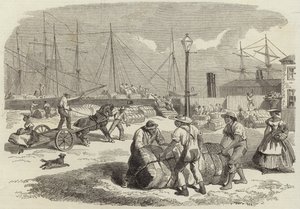 Illustrations of the War in America by English School