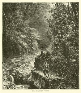 In a Formosan Forest by English School