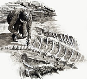 In the Days of the Dinosaurs: Battle of the Giants by English School