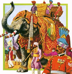 Indian elephant by English School