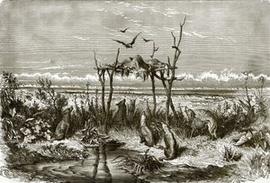 Indian Sepulchre in the Long Grass Prairie, on the Saskatchewan River