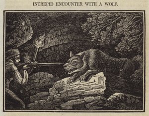 Intrepid Encounter with a Wolf by English School