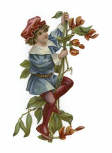 Jack and the Beanstalk by English School
