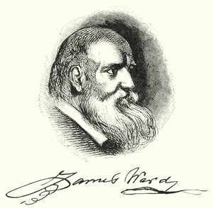 James Ward by English School