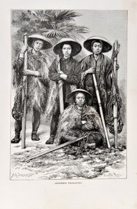 Japanese Farmers