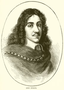 John Evelyn by English School