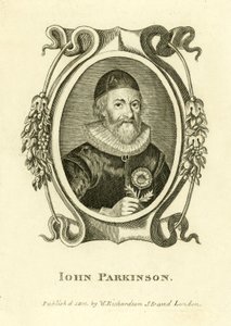 John Parkinson by English School