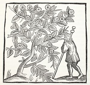 Joseph of Arimathea and the Glastonbury Thorn, illustration from Chap-books of the Eighteenth Century by John Ashton, pub. 1882