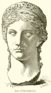 Juno by English School