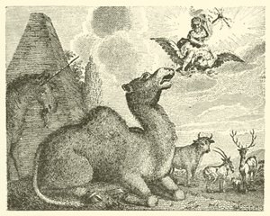 Jupiter and the Camel