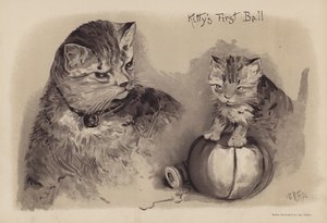Kitty