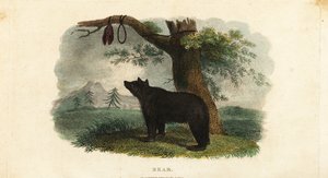 Koryak people