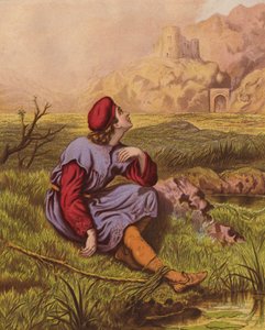 Lamentation of Tender Conscience