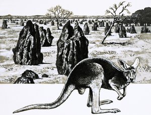 Large termite mounds near Darwin, Australia, and a kangaroo in foreground by English School