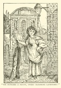 Lavender Seller by English School