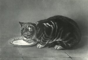 The Glutton by English School