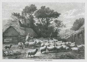 Leading Out the Sheep by English School