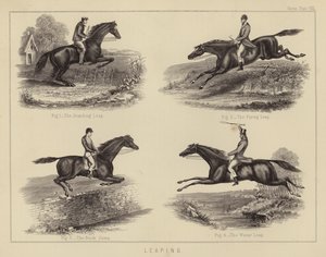 Leaping by English School