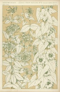 Leaves from Nature by English School