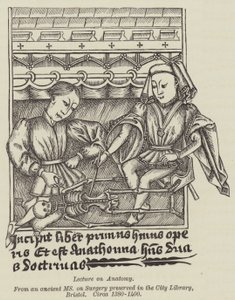 Lecture on Anatomy
