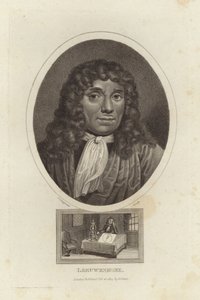Leeuwenhoek by English School