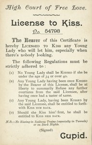 Licence to Kiss