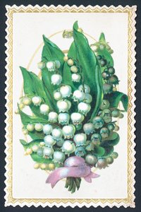Lily Of The Valley Plant by English School
