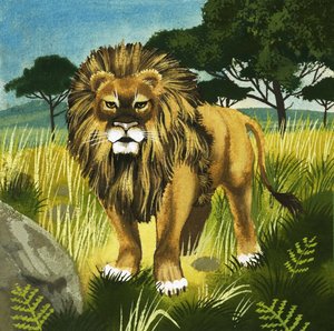 Lion