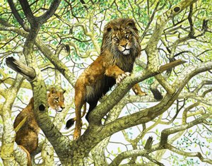 Lion and Lioness in a Tree