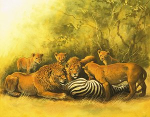 Lions Feeding on a Zebra Carcass