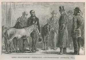 Lord Shaftesbury inspecting costermongers donkeys