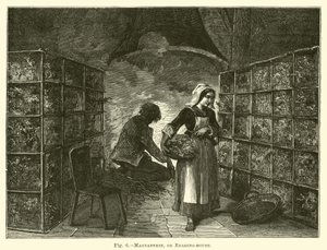 Magnanerie, or Rearing-house by English School