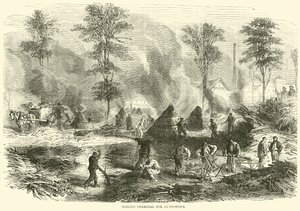 Making Charcoal for Gunpowder, October 1870 by English School