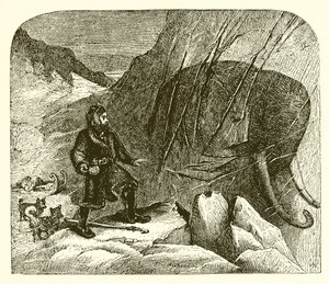 Mammoth in the ice