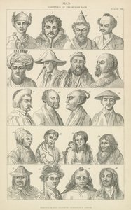Man. Varieties of the human race by English School