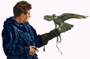 Man Holding a Bird of Prey