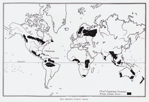 Map showing forest areas by English School