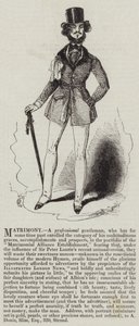 Matrimony, a Professional Gentleman by English School