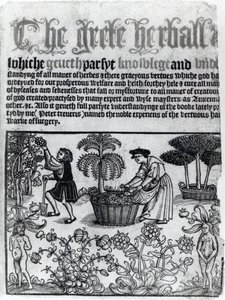 Medieval Herb Garden by English School