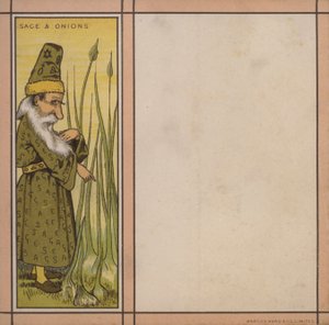 Menu illustration: Sage and onions by English School