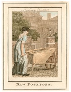 Middlesex Hospital. New Potatoes by English School