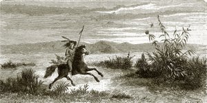 Mohave Horseman by English School