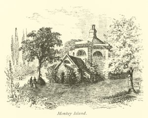 Monkey Island