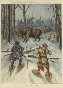 Moose Hunting