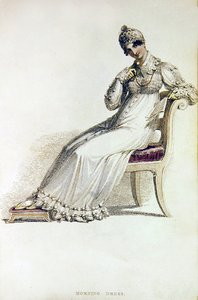 Morning Dress, Fashion Plate from Ackermann