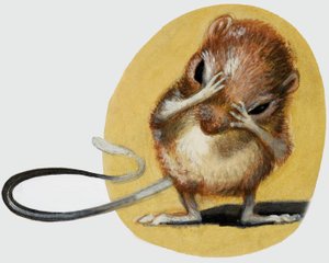 Mouse