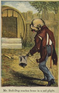 Mr. Bull-Dog Reaches Home in a Sad Plight by English School